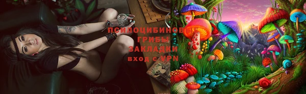 МДМА Карпинск