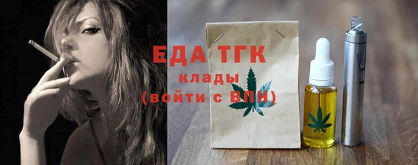 индика Касимов