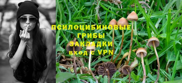 МДМА Карпинск