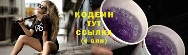 индика Касимов