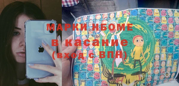 индика Касимов
