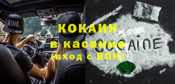индика Касимов