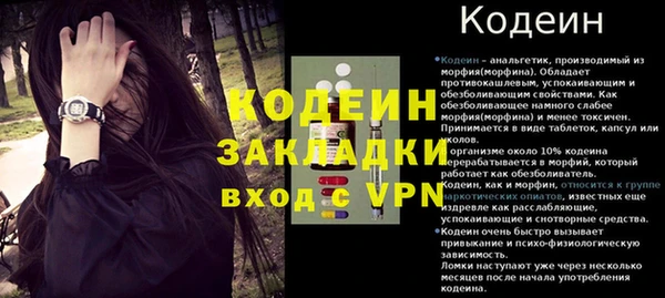 индика Касимов