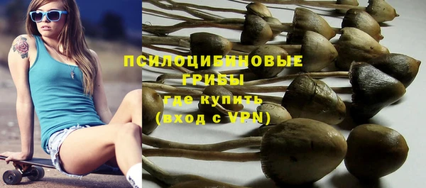 индика Касимов