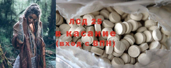 индика Касимов