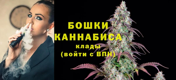 индика Касимов
