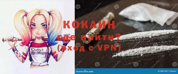 индика Касимов