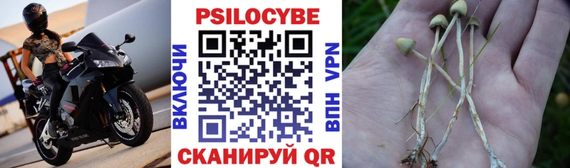 Купить закладки  Ефремов  Галлюциногенные грибы Magic Shrooms 